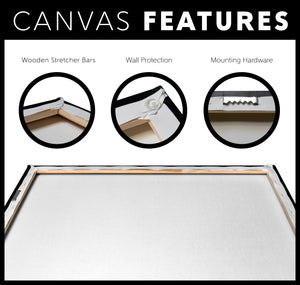 Canvas 10411